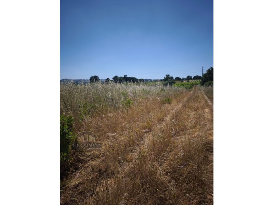 Helårsgrund i Palmela, Setubal - foto 4