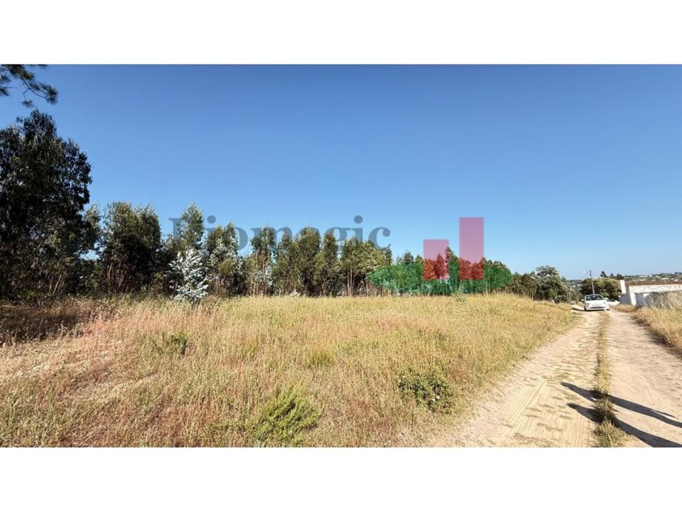 Tomt i Asseiceira, Santarem - bilde 5