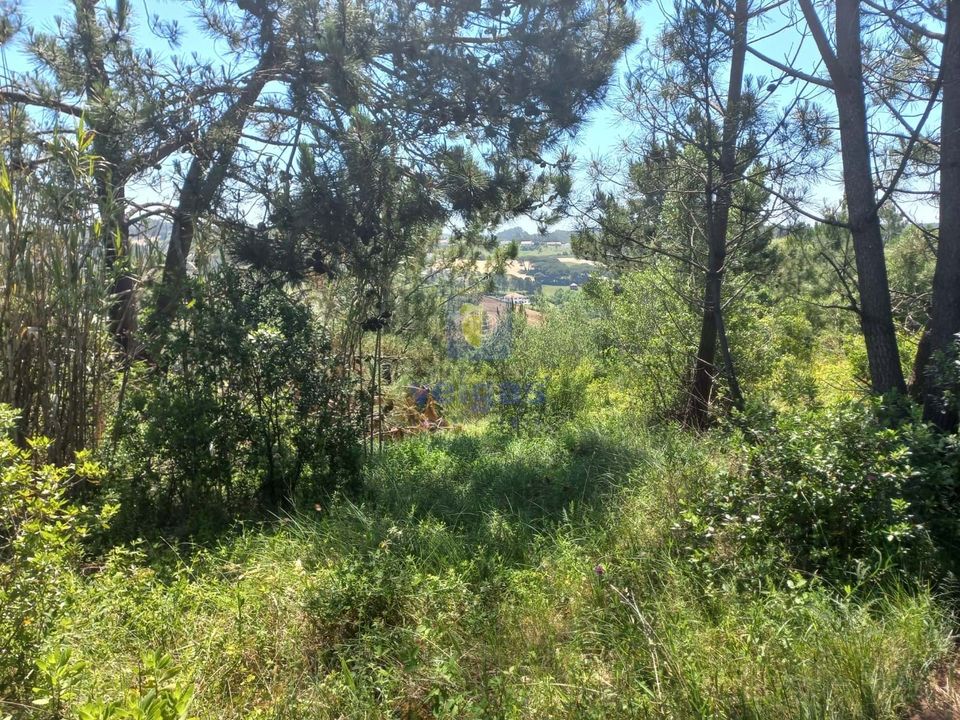 Helårsgrund i Caldas da Rainha, Leiria - foto 4