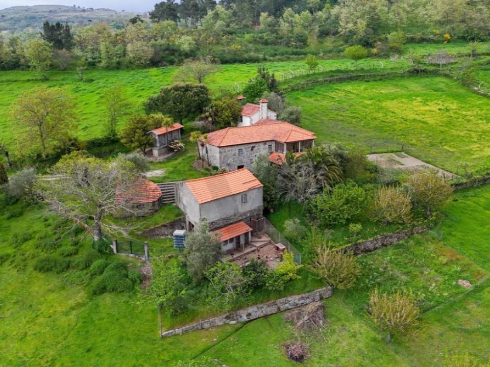 Farm i Felgueiras e Feirao, Viseu - foto 1