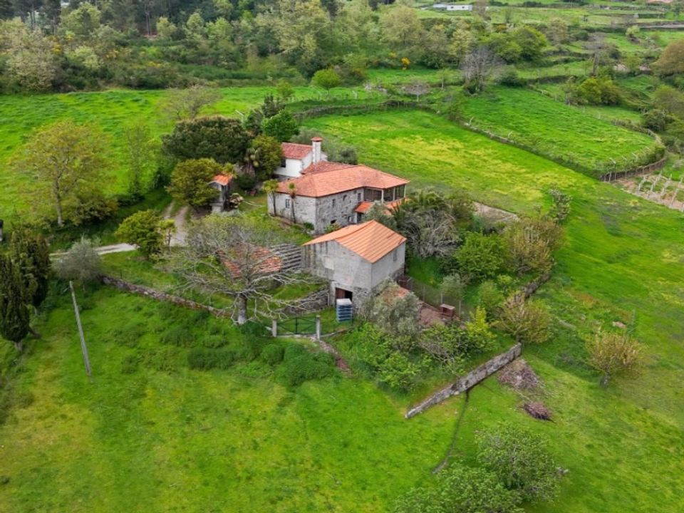 Farm i Felgueiras e Feirao, Viseu - foto 3