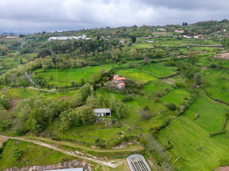 Farm i Felgueiras e Feirao, Viseu - foto 4