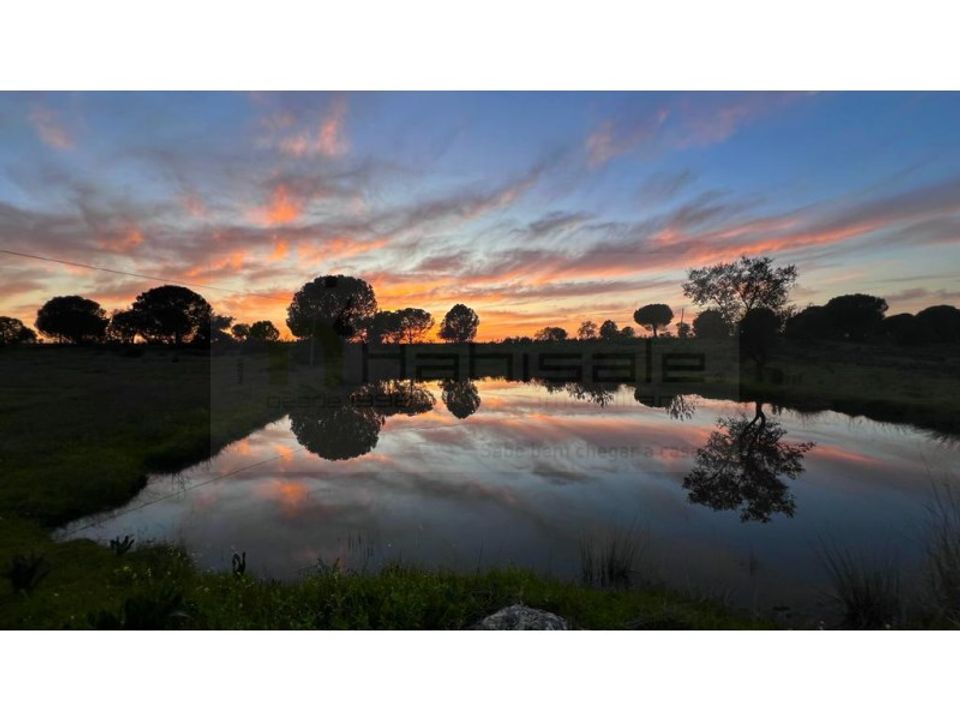 Farm hus i Mora, Evora - foto 2