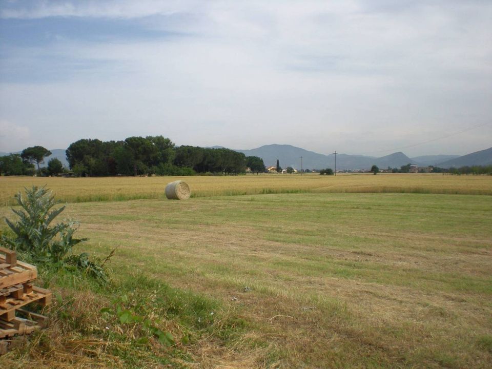 Villa i Lucca, Lucca - foto 1