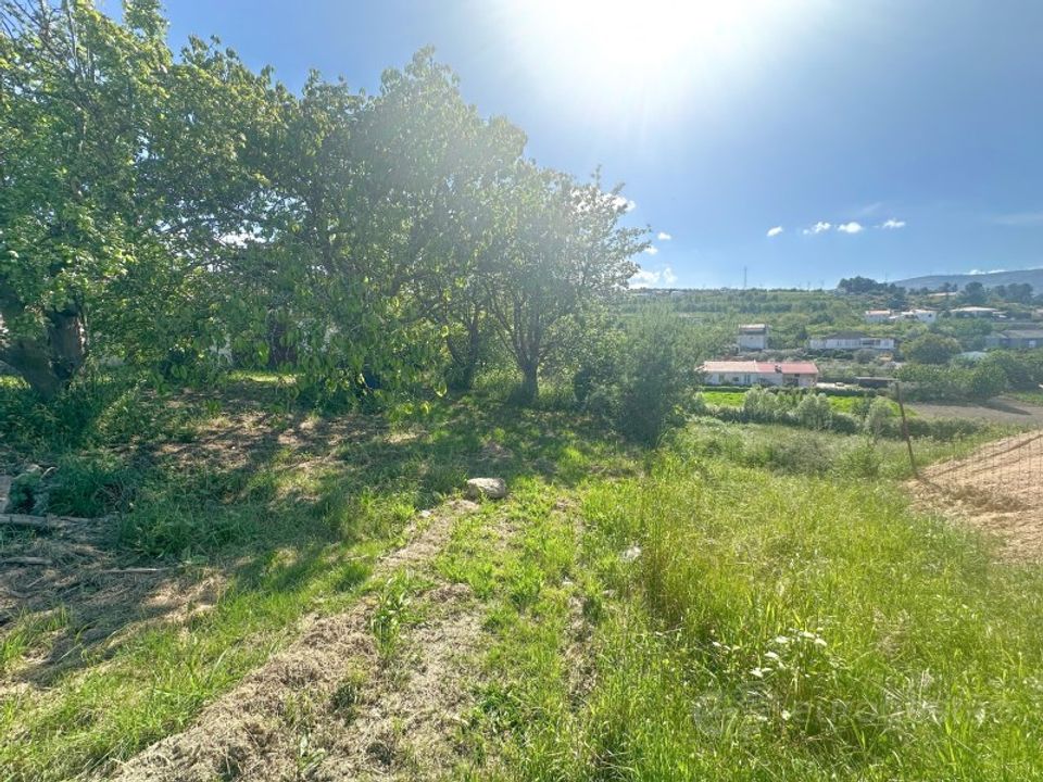 Tomt i Cepoes, Viseu - bilde 3