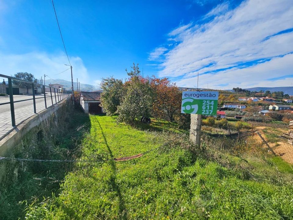 Tomt i Cepoes, Viseu - bilde 1