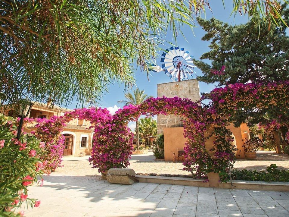 Erhvervsejendom i Ses Salines, Mallorca - foto 3