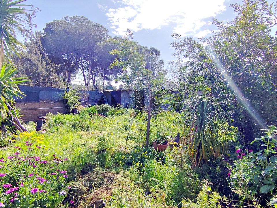 Villa in Quartu Sant'Elena, Cagliari - photo 5