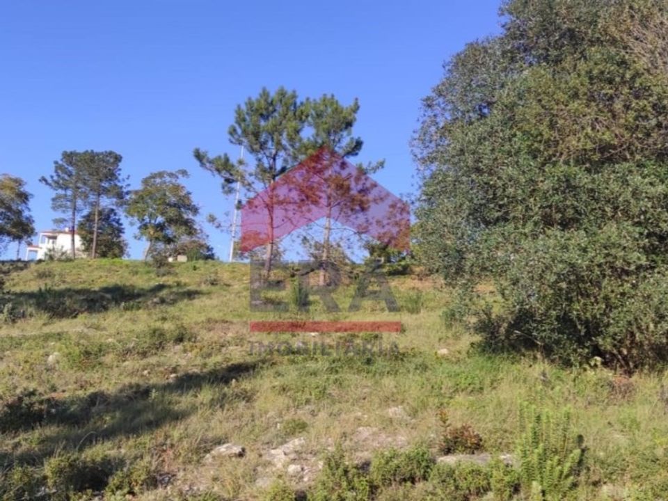 Terreno en Pombal, Leiria - foto 5