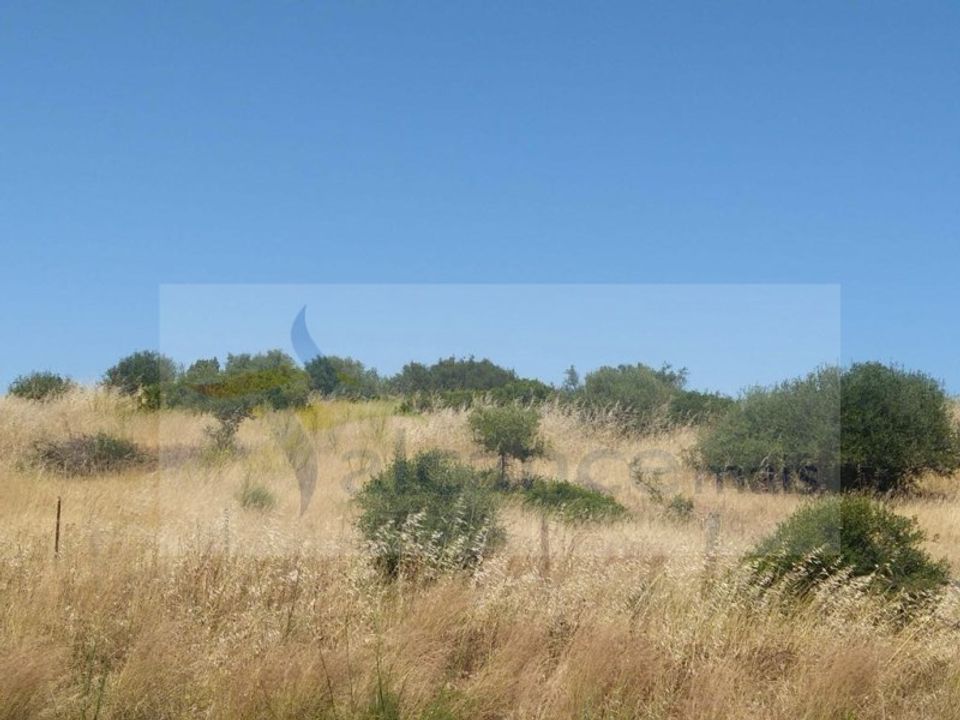 Helårsgrund i Serpa, Beja - foto 3