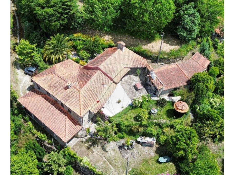Farm i Santa Cruz do Douro e Sao Tome de Covelas, Porto - foto 1