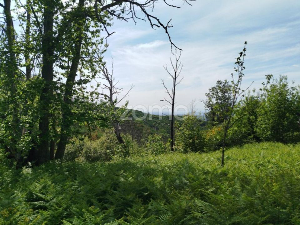 Helårsgrund i Seia, Guarda - foto 4