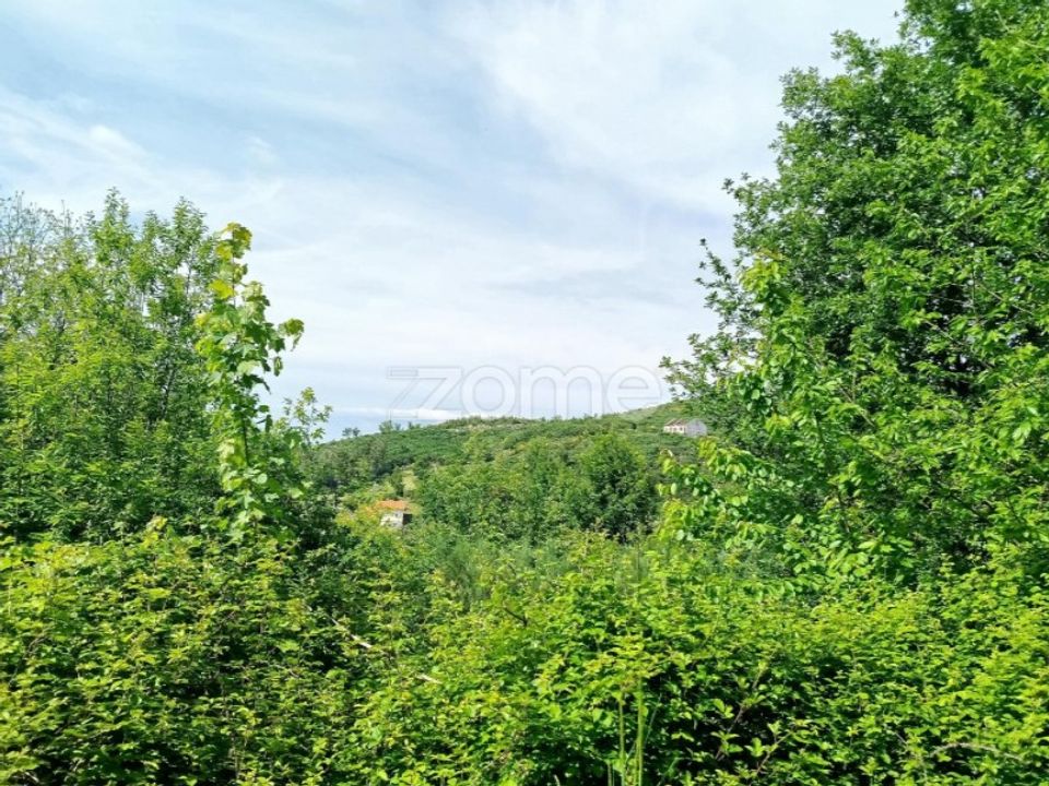 Helårsgrund i Seia, Guarda - foto 5