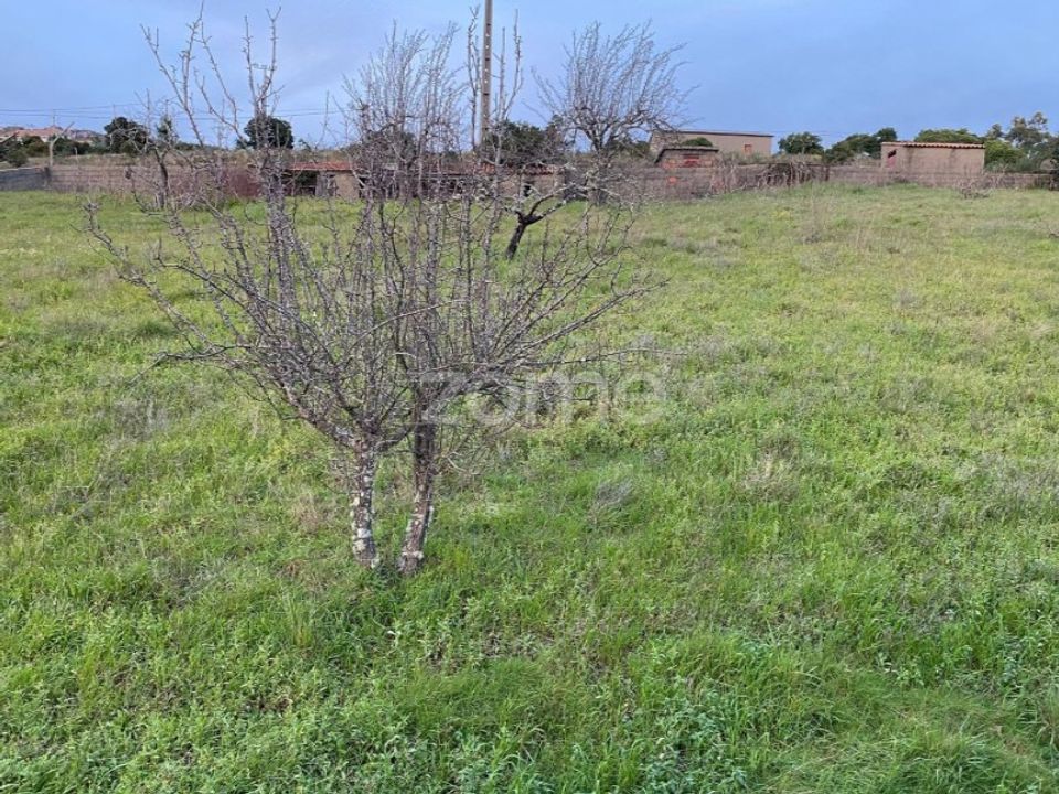 Helårsgrund i Cambas, Castelo Branco - foto 4