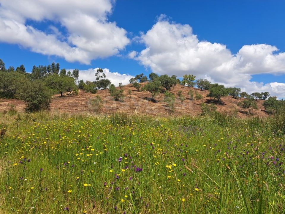 Helårsgrund i Ourique, Beja - foto 2