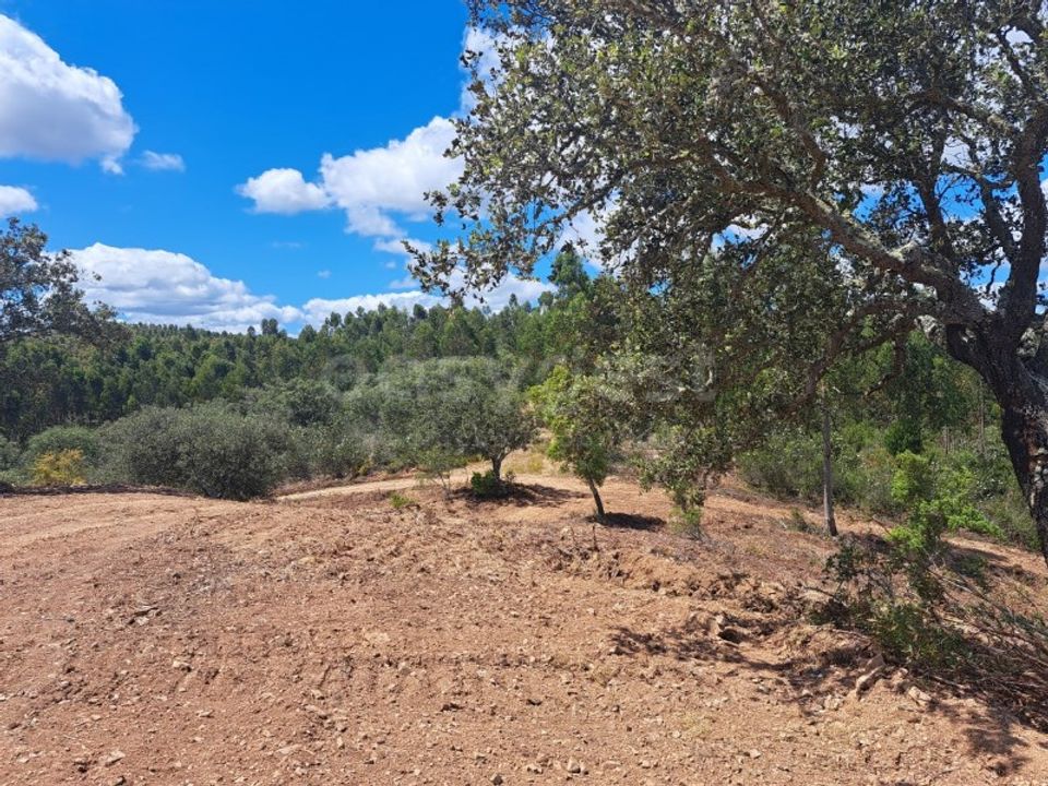 Helårsgrund i Ourique, Beja - foto 4