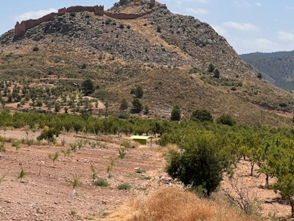 Terra a Lorca, Murcia - foto 3