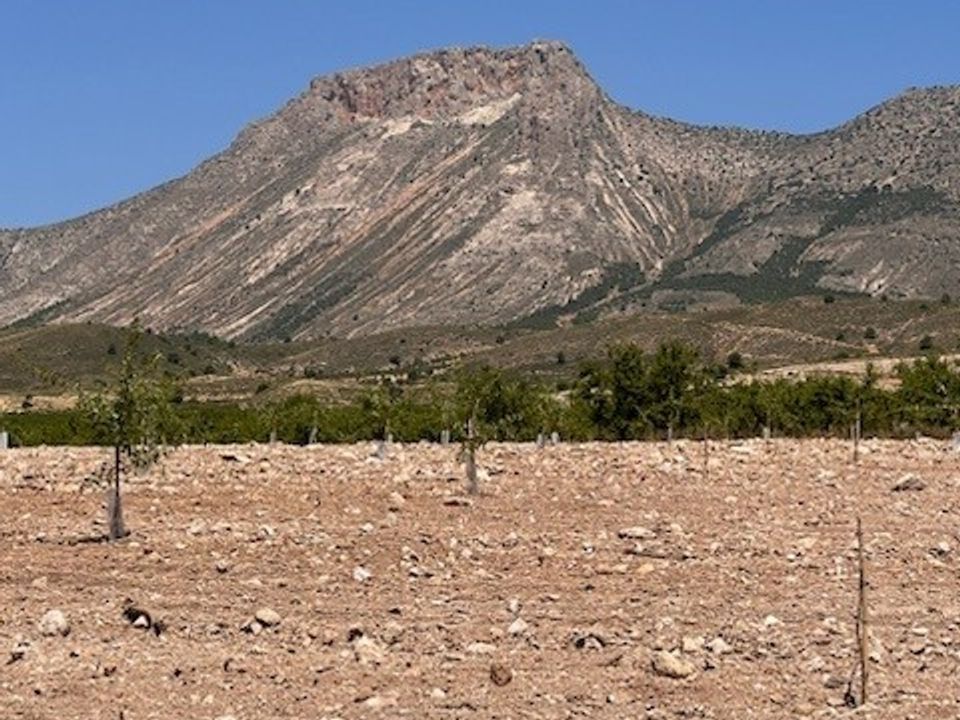 Terra a Lorca, Murcia - foto 4