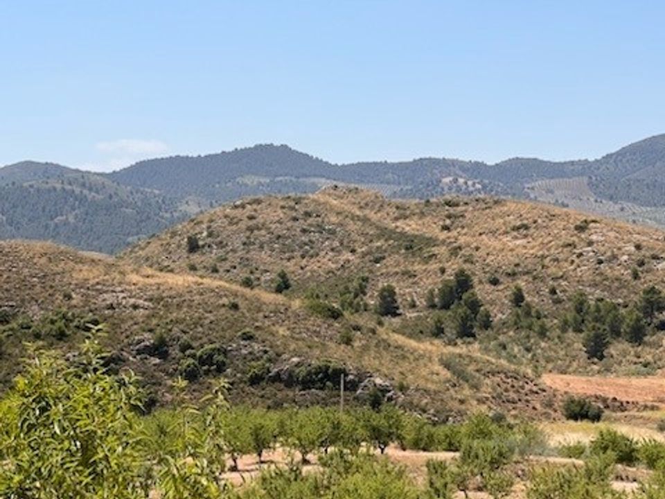Terra a Lorca, Murcia - foto 5