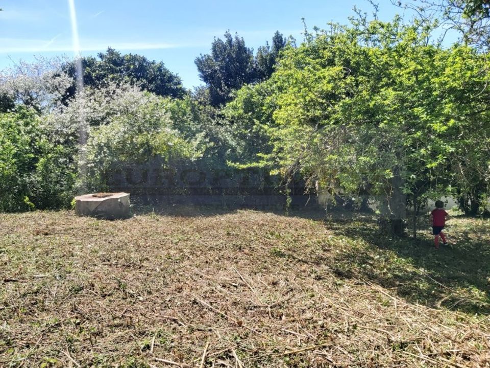 Helårsgrund i Alenquer, Lisbon - foto 1