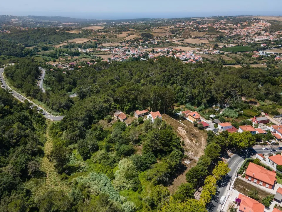 Farm hus i Sintra, Lisbon - foto 2