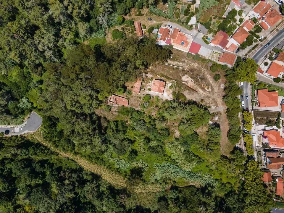 Farm hus i Sintra, Lisbon - foto 4