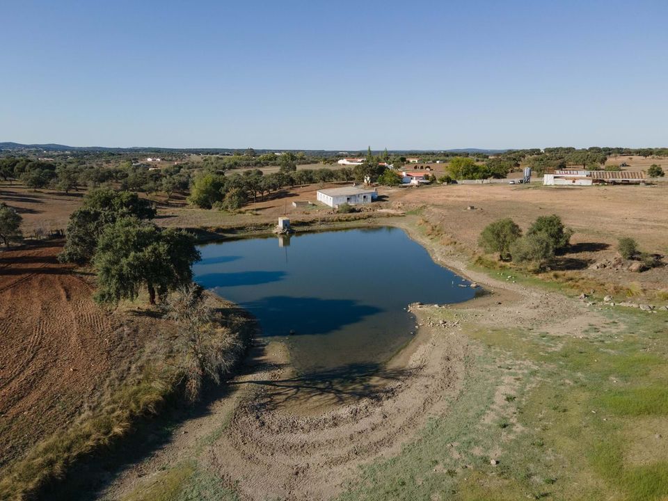 Farm hus i Montemor-o-Novo, Evora - foto 5