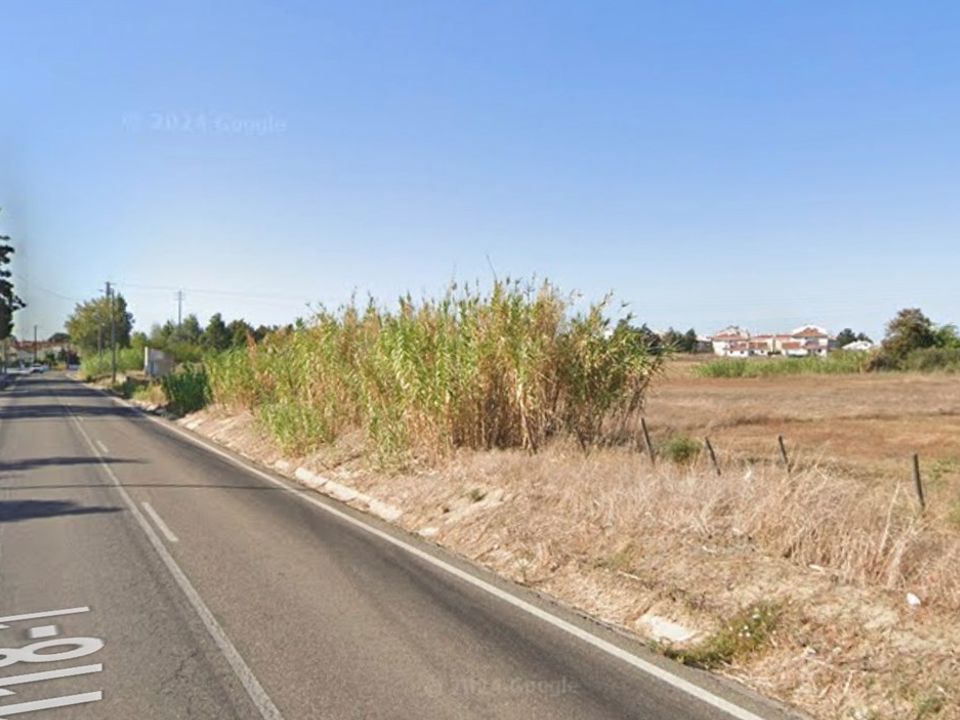 Tomt i Benavente, Santarem - bilde 3