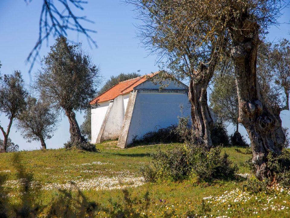 Farm hus i Alter do Chao, Portalegre - foto 4
