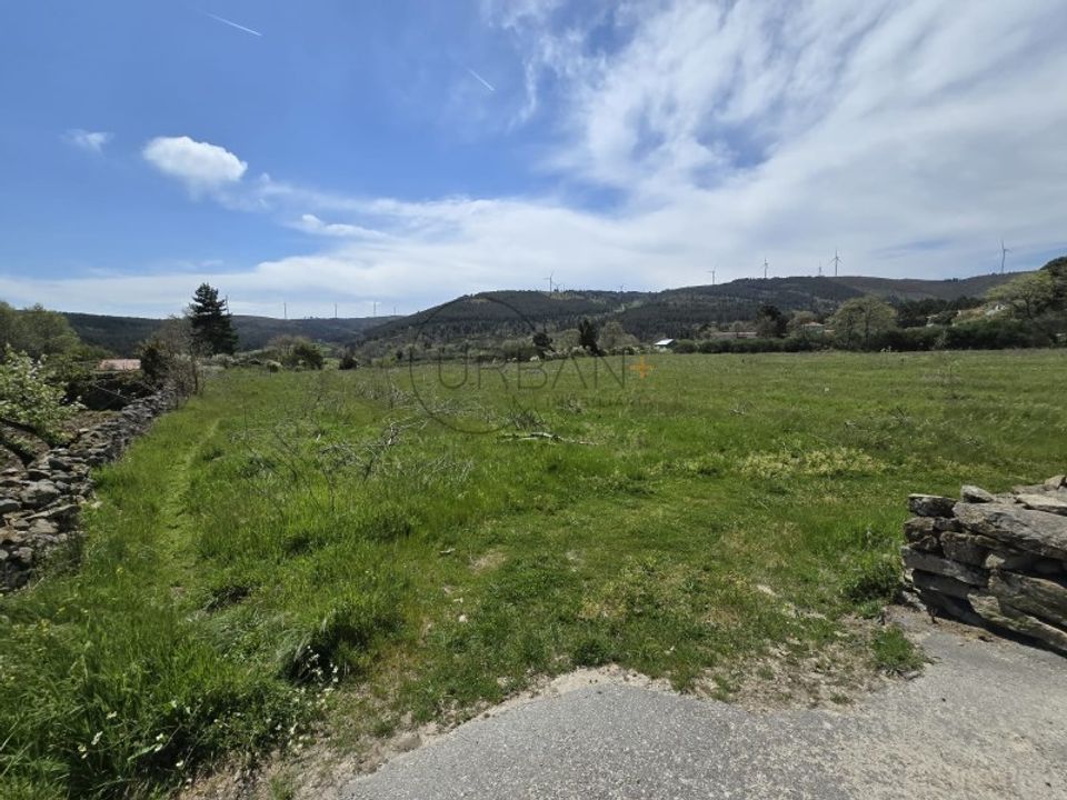 Tomt i Moimenta da Beira, Viseu - bilde 1
