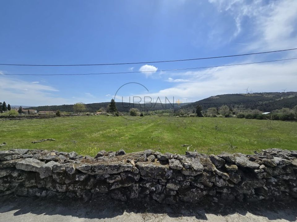 Tomt i Moimenta da Beira, Viseu - bilde 2
