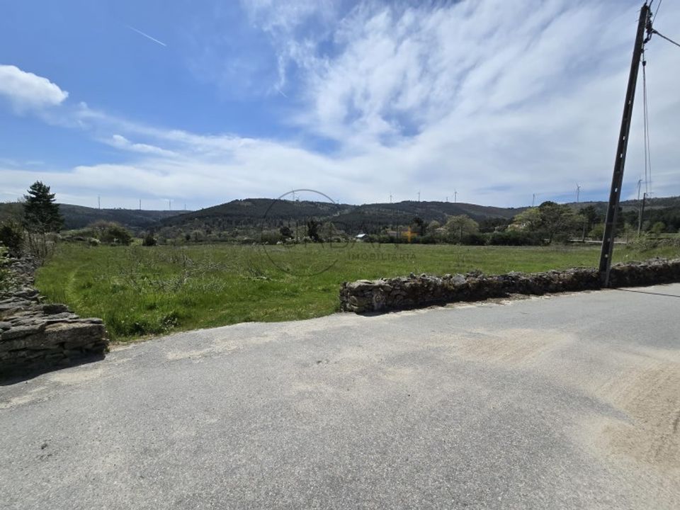 Tomt i Moimenta da Beira, Viseu - bilde 3
