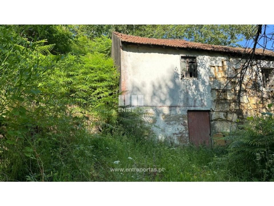 Helårsgrund i Cinfaes, Viseu - foto 1