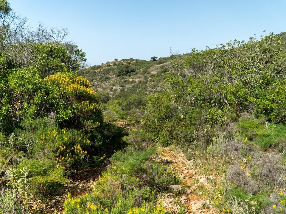Helårsgrund i Conceicao e Estoi, Faro - foto 3