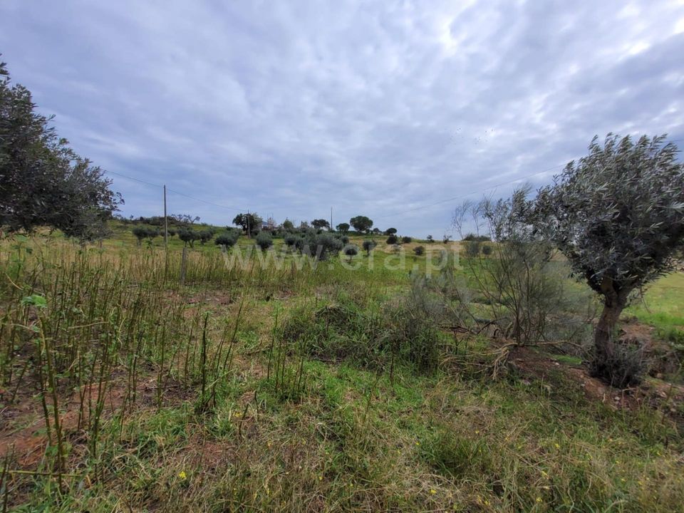 Villa i Alandroal, Evora - foto 2