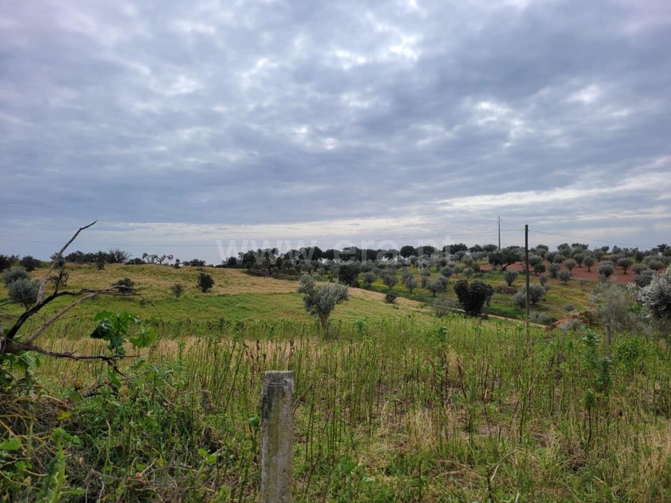 Villa i Alandroal, Evora - foto 4