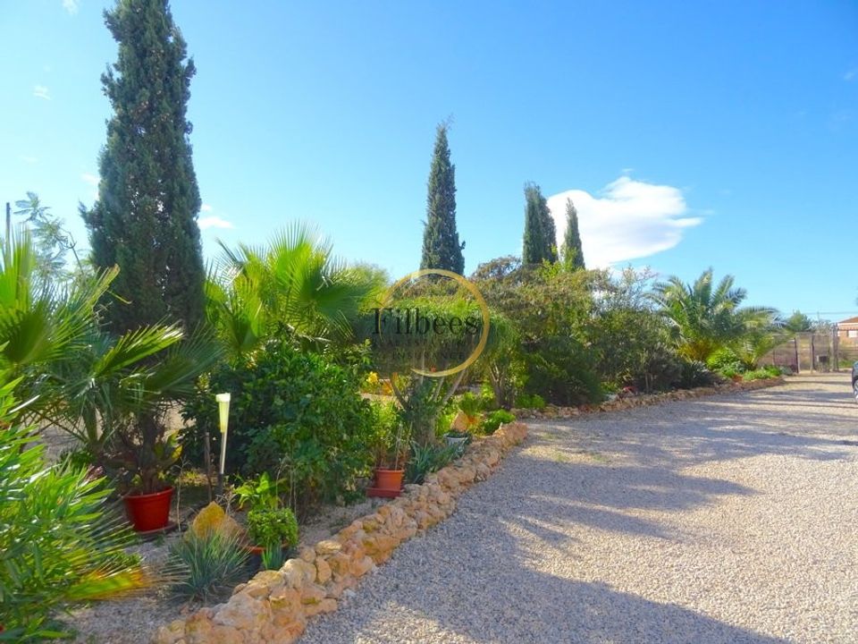 Landejendom i Fuente Alamo, Murcia - foto 4