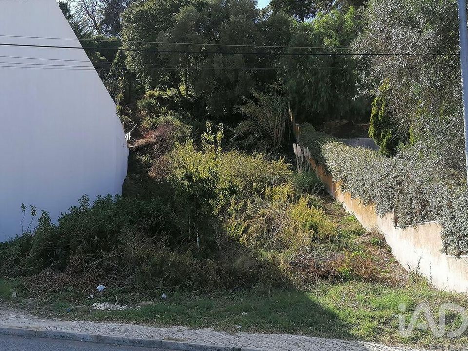 Helårsgrund i Oeiras, Lisbon - foto 4