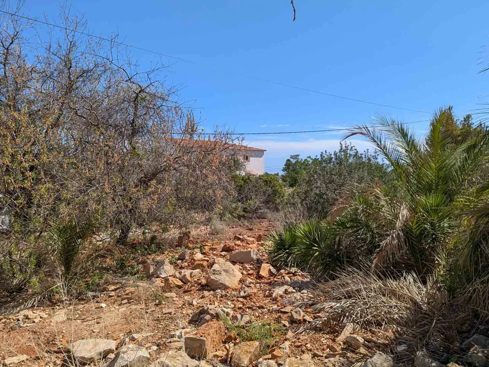 Helårsgrund i Denia, Alicante - foto 3