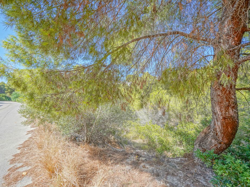 Helårsgrund i Benissa, Alicante - foto 5