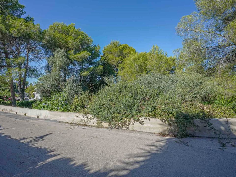 Helårsgrund i Javea, Alicante - foto 1
