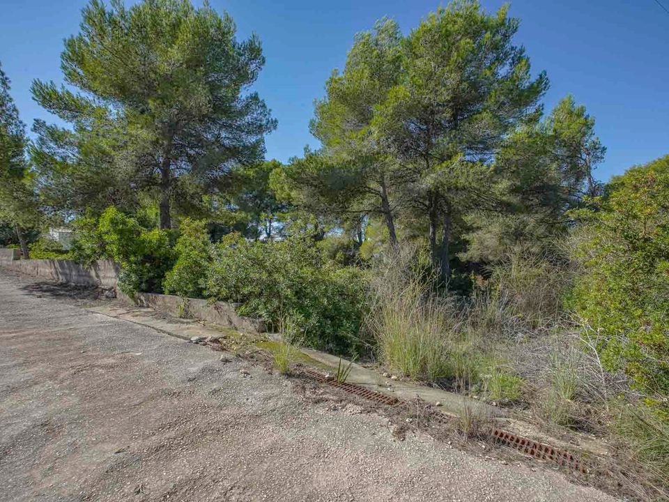 Helårsgrund i Javea, Alicante - foto 5