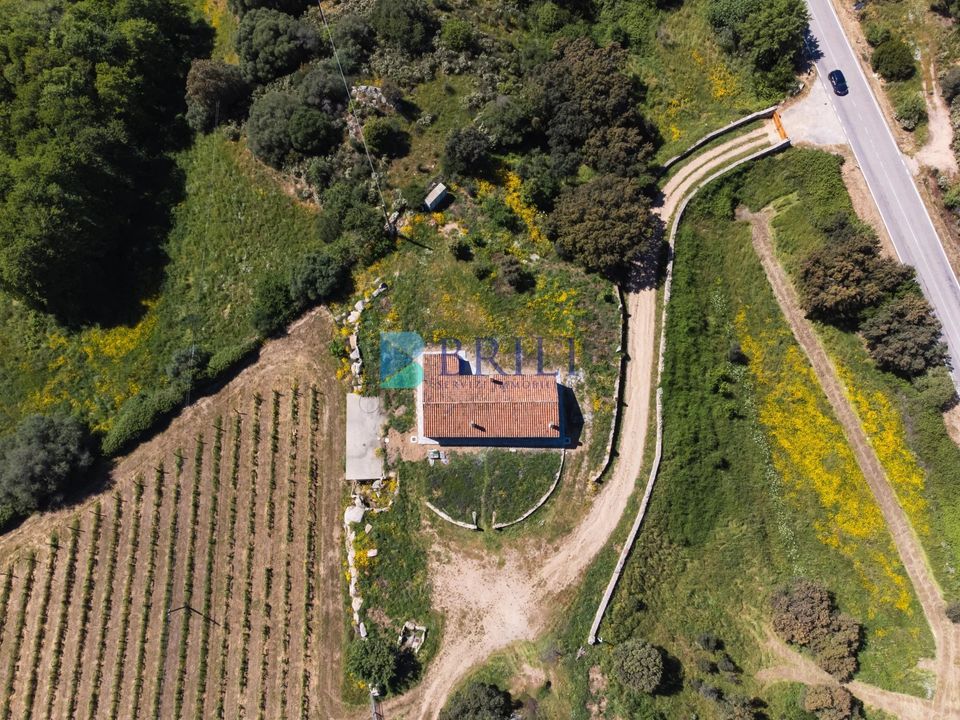 Erhvervsejendom i Sant'Antonio di Gallura, Sassari - foto 3