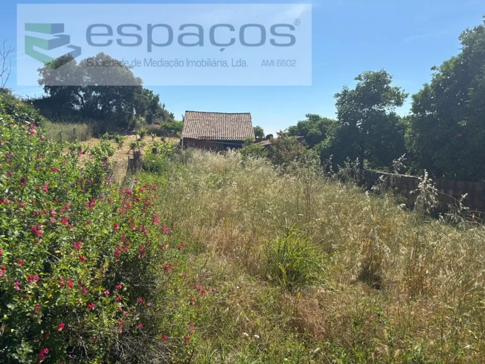 Terreno en Castelo Branco, Castelo Branco - foto 1