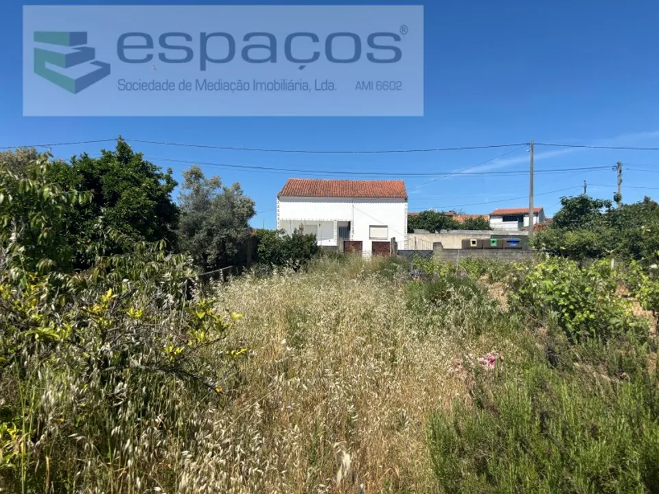 Terreno en Castelo Branco, Castelo Branco - foto 2