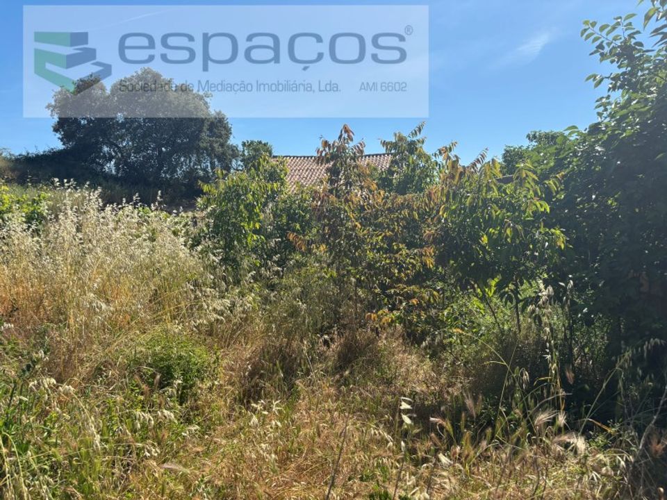 Terreno en Castelo Branco, Castelo Branco - foto 4