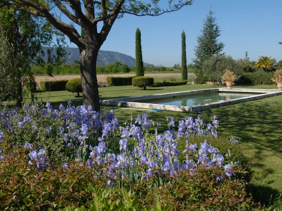 Villa i Cabrières-d'Avignon, Vaucluse - foto 5