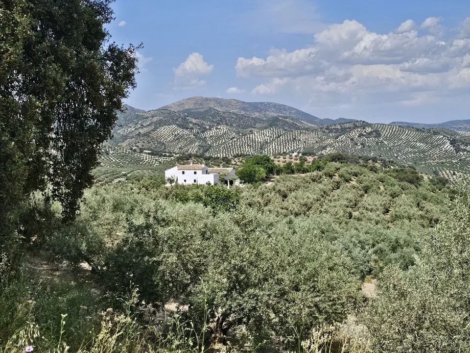Cortijo i Algarinejo, Granada - foto 2