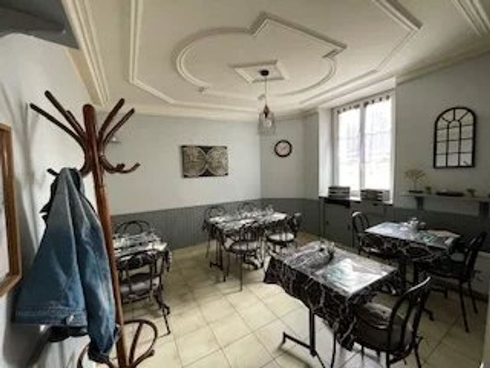 Erhvervsejendom i Chateau-la-Valliere, Indre-et-Loire - foto 4