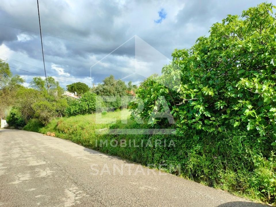 Helårsgrund i Torres Novas, Santarem - foto 2